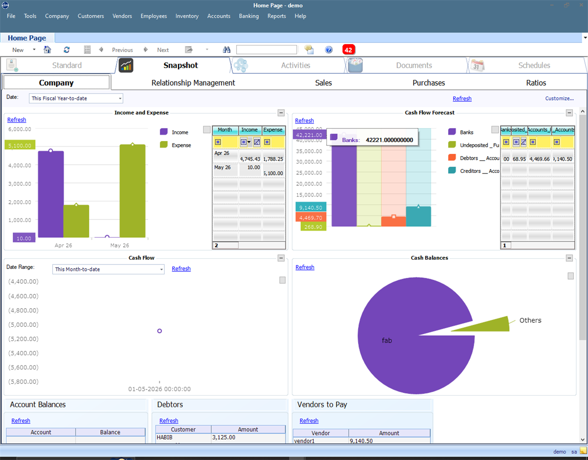 QBM financial dashboard with demo income, expense, cash flow and account balance sample data